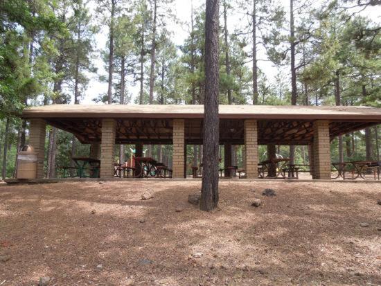 Pine Cone Cabin Vila Pinetop-Lakeside Exterior foto